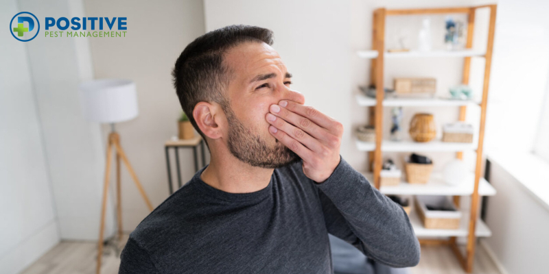 4 Methods: How to Get Rid of Dead Mouse Smell 4 Methods: How to Get Rid of Dead Mouse Smell